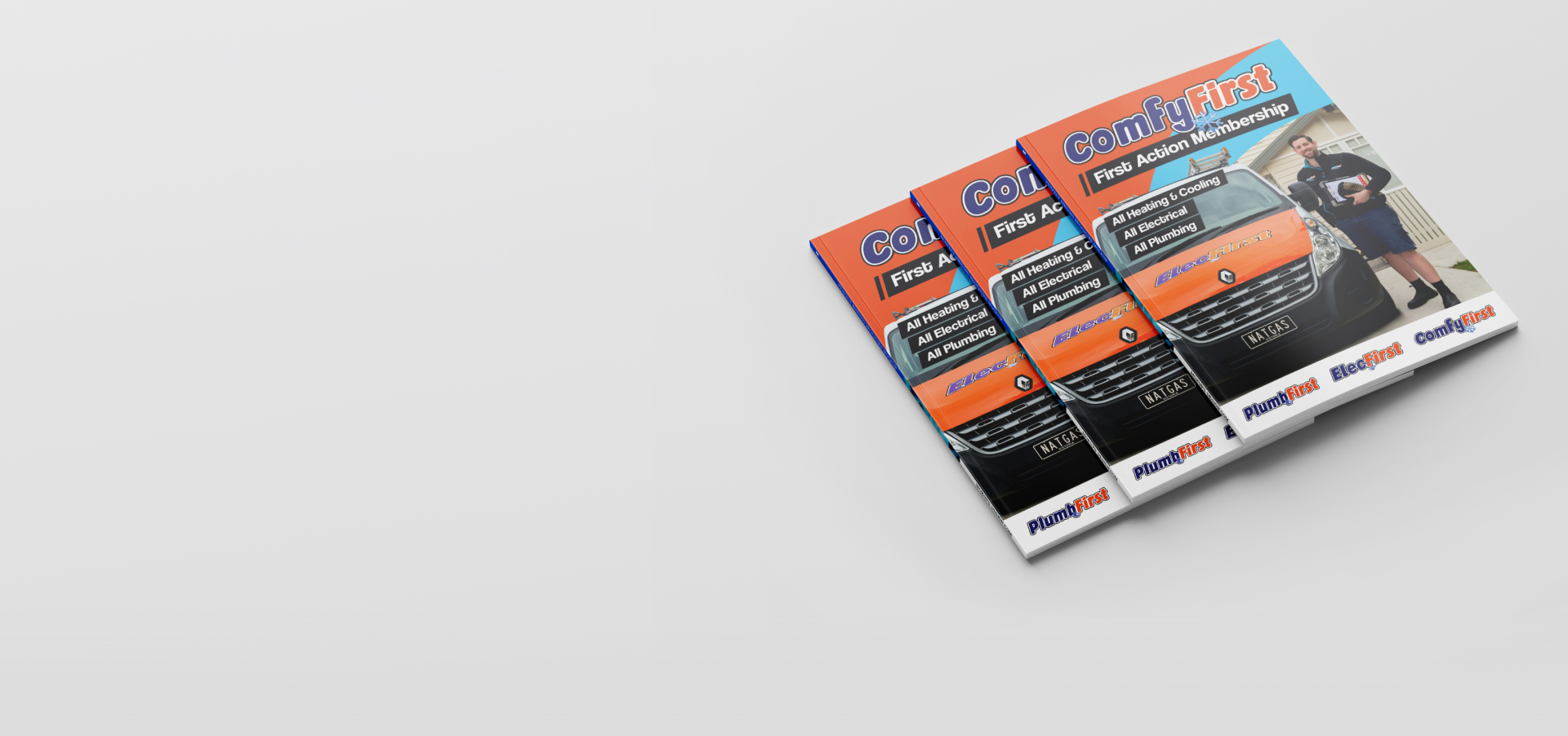 Professional Plumbers