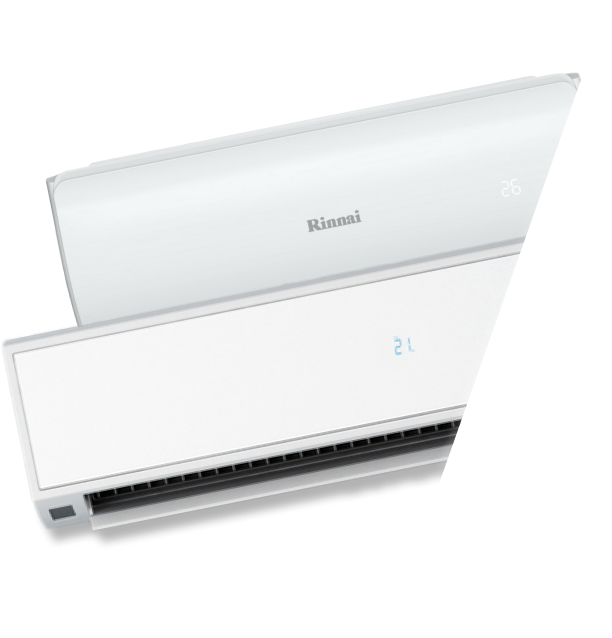 Professional Plumbers